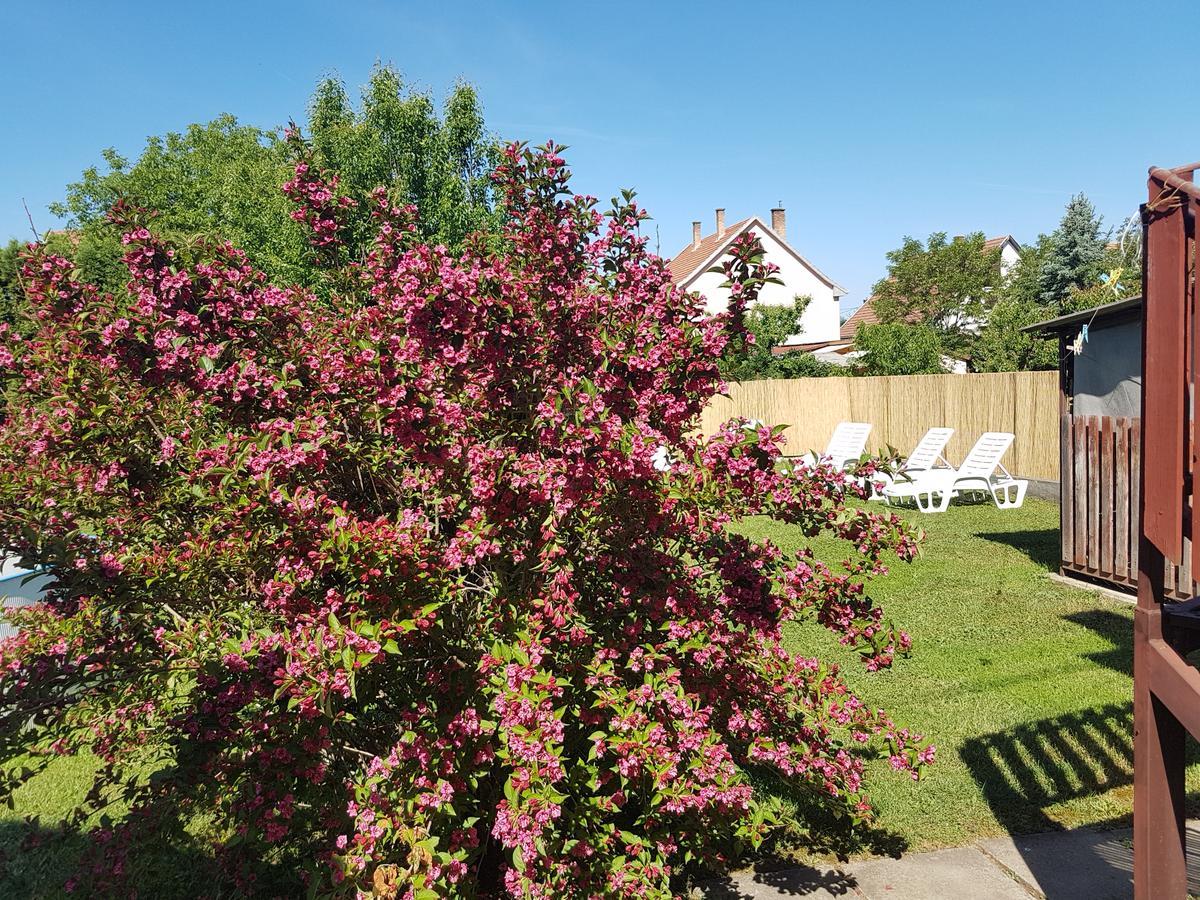 Kovács Vendégház Mátraderecske Exterior foto